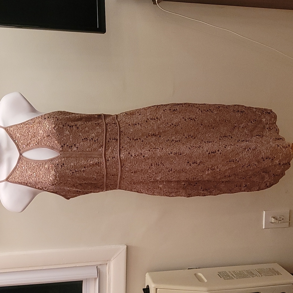 R&M Richards Sequined Taupe Evening Dress - Size 8